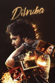 Dilruba (2025) Hindi Dubbed